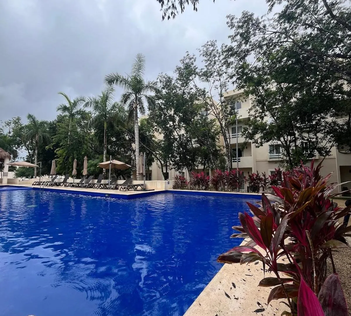 Casa Bambu, Apartment In The Best Part Of Playa Del Carmen Mexiko