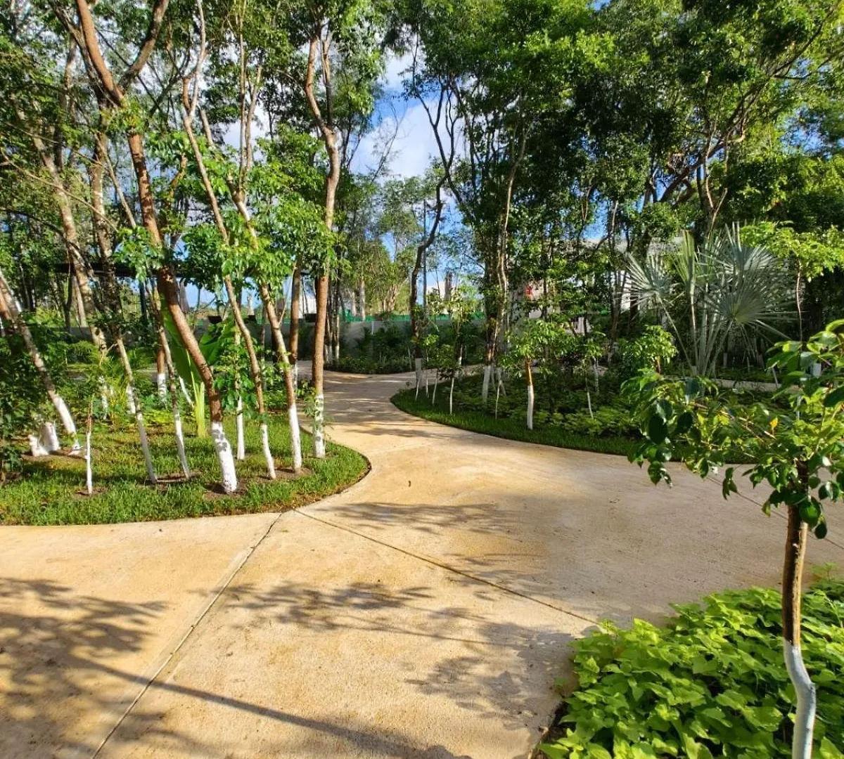 Casa Bambu, Apartment In The Best Part Of Playa Del Carmen Mexiko