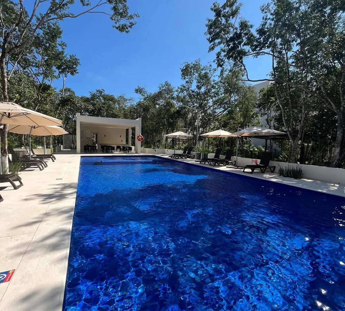 Casa Bambu, Apartment In The Best Part Of Playa Del Carmen
